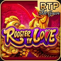 RTP jdb  wiseplay138